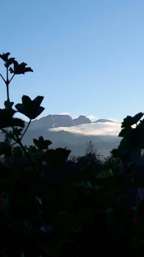 Willa U Slodkiego Zakopane Esterno foto